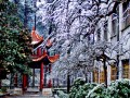 黔南醫專(zhuān)冬季校園