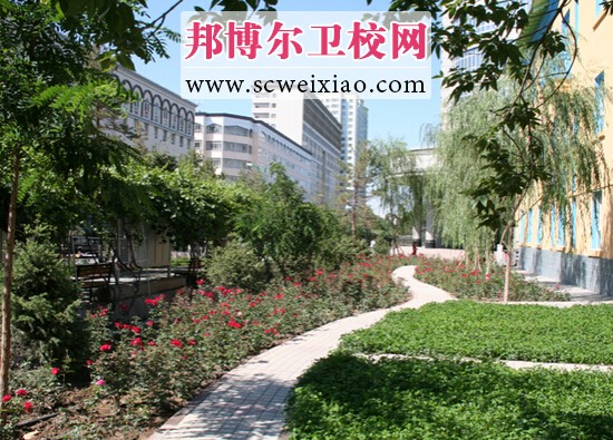 新疆醫科大學(xué)校園風(fēng)景