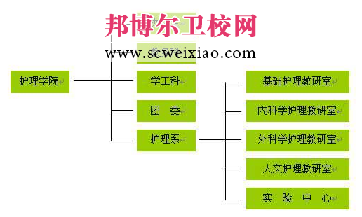 井岡山大學(xué)護理學(xué)院機構設置