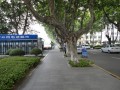 東南大學(xué)醫學(xué)院一角