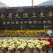 大理衛生學(xué)校
