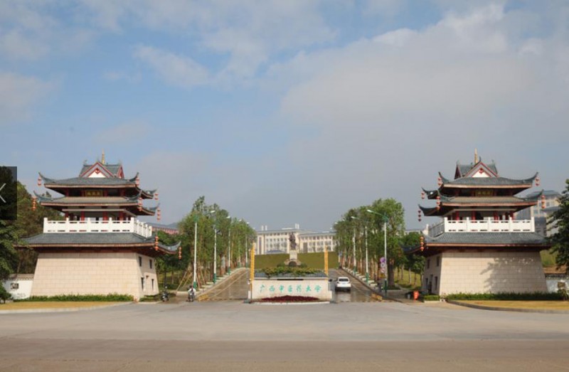廣西中醫藥大學(xué)2019年有哪些專(zhuān)業(yè)