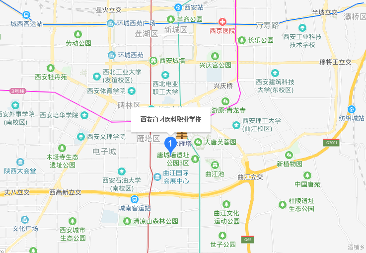 西安育才醫科職業(yè)學(xué)校地址在哪里