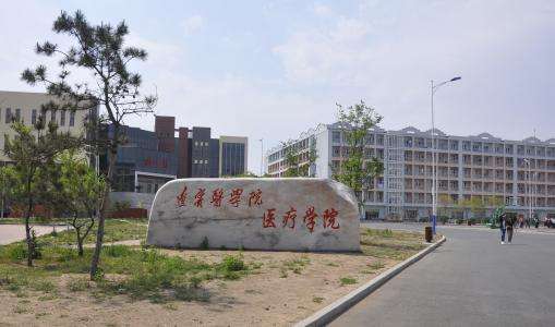 錦州醫科大學(xué)醫療學(xué)院2019年有哪些專(zhuān)業(yè)