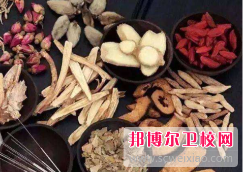 廣東2020年中專(zhuān)學(xué)衛校有前途嗎