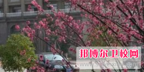 浙江新世紀經(jīng)貿專(zhuān)修學(xué)院怎么樣、好不好
