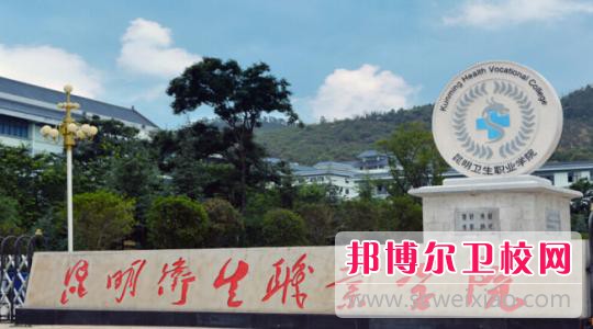 昆明衛生職業(yè)學(xué)院2021年有哪些專(zhuān)業(yè)