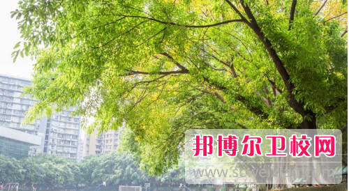 新疆維吾爾醫學(xué)專(zhuān)科學(xué)校怎么樣、好不好