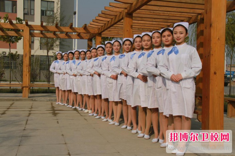 廣西2021年高等衛校大專(zhuān)學(xué)校
