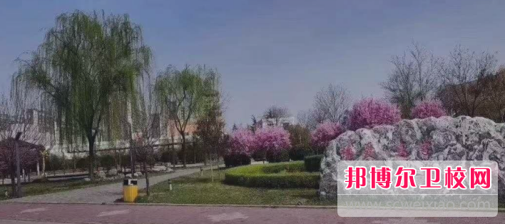 陜西醫科學(xué)校網(wǎng)站網(wǎng)址