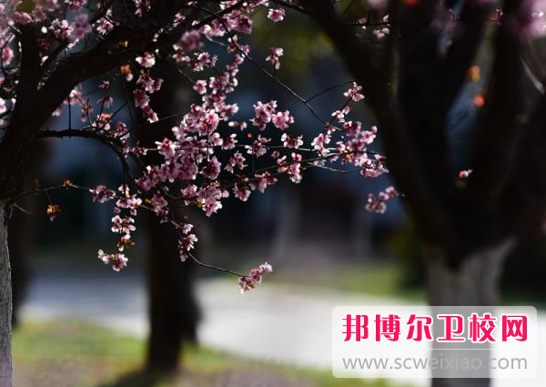 徐州生物工程職業(yè)技術(shù)學(xué)院2022年報名條件、招生要求、招生對象