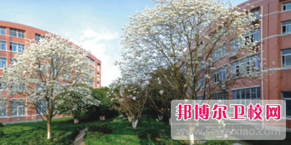 浙江省桐鄉市衛生學(xué)校2