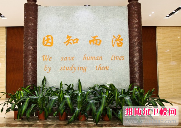 中山大學(xué)中山醫學(xué)院怎么樣、好不好