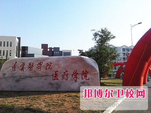 遼寧醫學(xué)院醫療學(xué)院2022年招生代碼