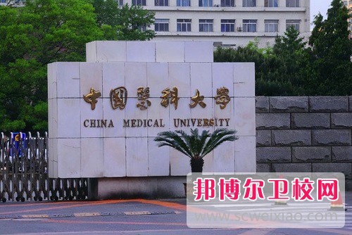 中國醫科大學(xué)臨床醫藥學(xué)院2022年是幾本