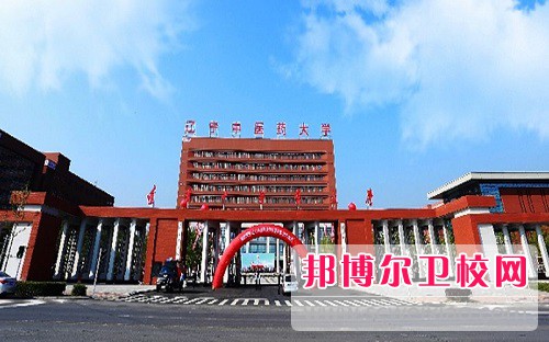 遼寧中醫藥大學(xué)2022年招生代碼