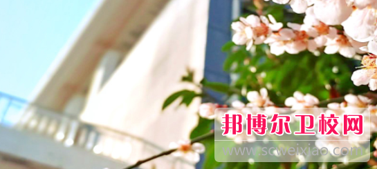 濱州醫學(xué)院2022年招生代碼