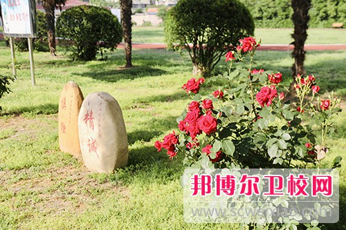江蘇衛生健康職業(yè)學(xué)院2022年網(wǎng)站網(wǎng)址