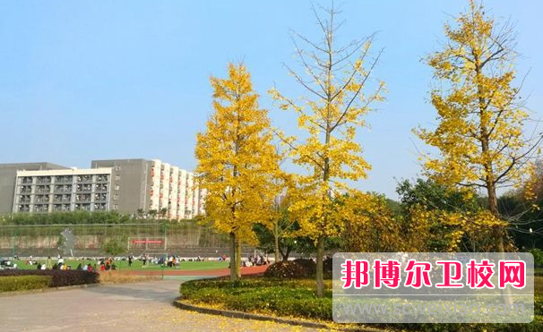 2023年四川衛校有哪些公辦學(xué)校(四川成都職業(yè)學(xué)校)