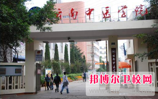 2023年云南中醫學(xué)院護理學(xué)專(zhuān)業(yè)介紹