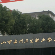 樂(lè )山市嘉州衛生職業(yè)學(xué)校