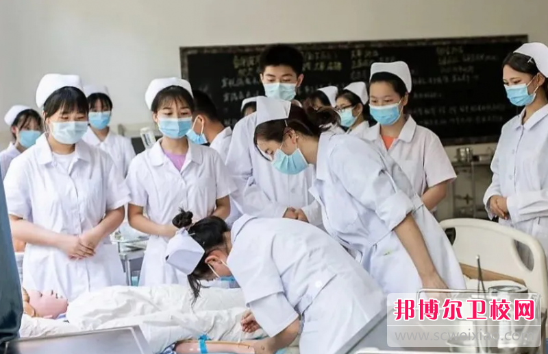西南醫科大學(xué)附屬醫院衛生學(xué)校2024年學(xué)費、收費多少