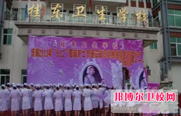 2023桂東衛生學(xué)校多少錢(qián)(學(xué)費明細)