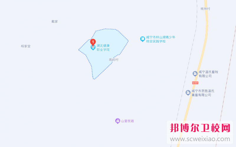 湖北健康職業(yè)學(xué)院地址在哪里，哪個(gè)地區，哪個(gè)城市?
