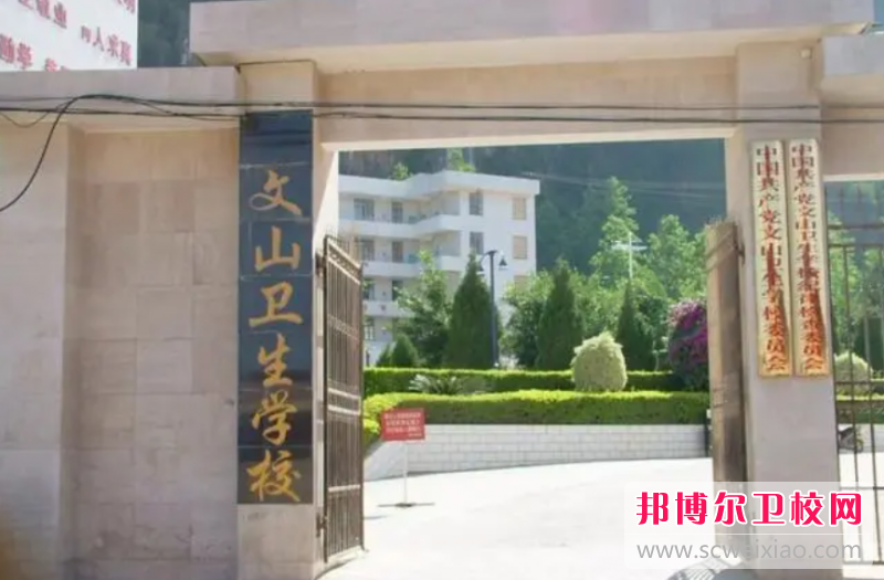 2023文山衛生學(xué)校有哪些 文山衛生學(xué)校名單一覽表