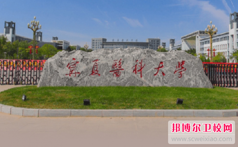 2023銀川衛生學(xué)校有哪些 銀川衛生學(xué)校名單一覽表