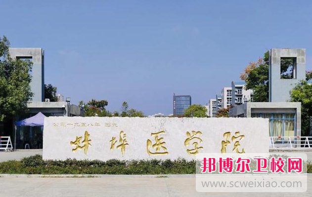 2023蚌埠公辦衛生學(xué)校有哪些 蚌埠公辦衛生學(xué)校名單一覽表