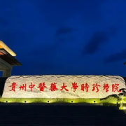 貴州中醫藥大學(xué)時(shí)珍學(xué)院