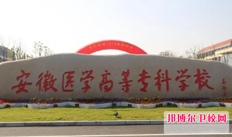 2023安徽排名前三的公辦衛生學(xué)校名單