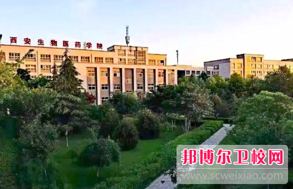 2023西安護理專(zhuān)業(yè)學(xué)校有哪些 西安護理專(zhuān)業(yè)學(xué)校名單一覽表
