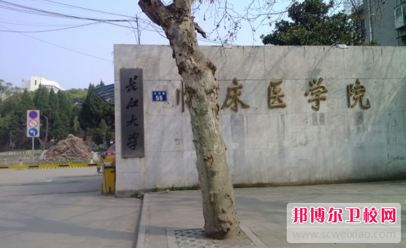 2023長(cháng)江大學(xué)醫學(xué)院有哪些專(zhuān)業(yè) 長(cháng)江大學(xué)醫學(xué)院開(kāi)設的專(zhuān)業(yè)一覽表