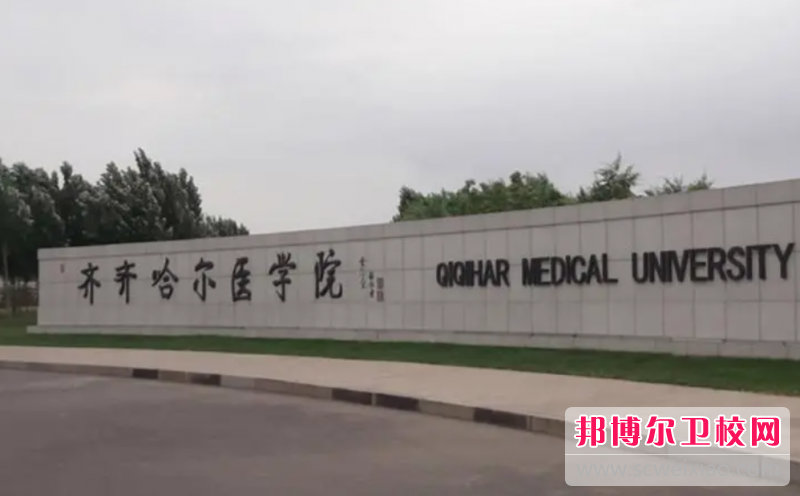 2023齊齊哈爾公辦護理專(zhuān)業(yè)學(xué)校有哪些 齊齊哈爾公辦護理專(zhuān)業(yè)學(xué)校名單一覽表