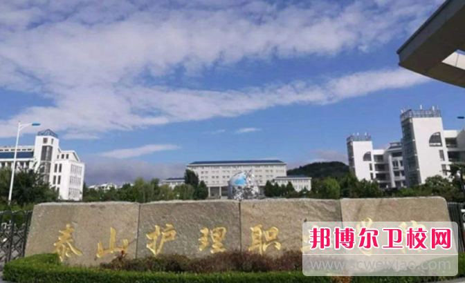 2023泰安公辦助產(chǎn)護理學(xué)校有哪些 泰安公辦助產(chǎn)護理學(xué)校名單一覽表