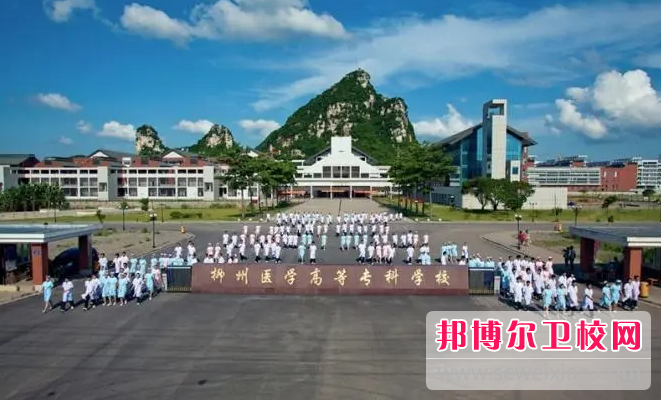 2023柳州公辦藥劑專(zhuān)業(yè)學(xué)校有哪些 柳州公辦藥劑專(zhuān)業(yè)學(xué)校名單一覽表