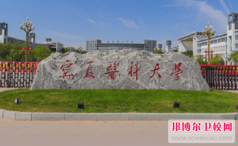 2023寧夏公辦臨床醫學(xué)學(xué)校有哪些 寧夏公辦臨床醫學(xué)學(xué)校名單一覽表