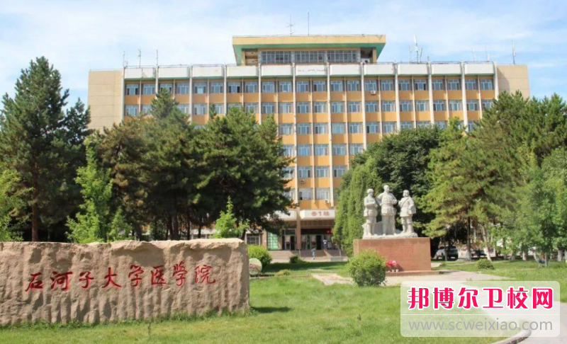2023石河子公辦臨床醫學(xué)學(xué)校有哪些 石河子公辦臨床醫學(xué)學(xué)校名單一覽表