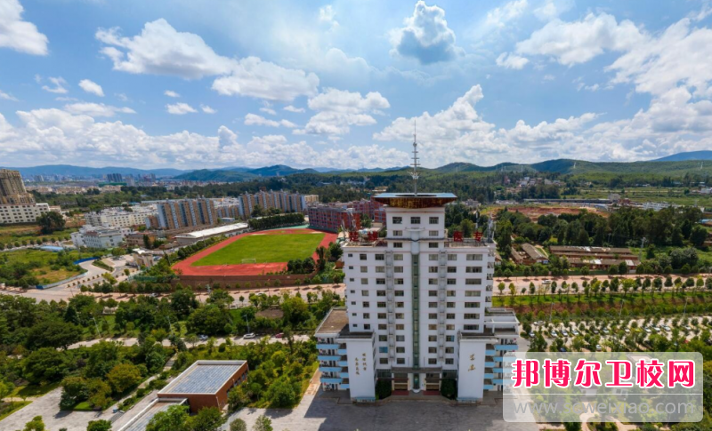 2023楚雄公辦衛生信息學(xué)校有哪些 楚雄公辦衛生信息學(xué)校名單一覽表