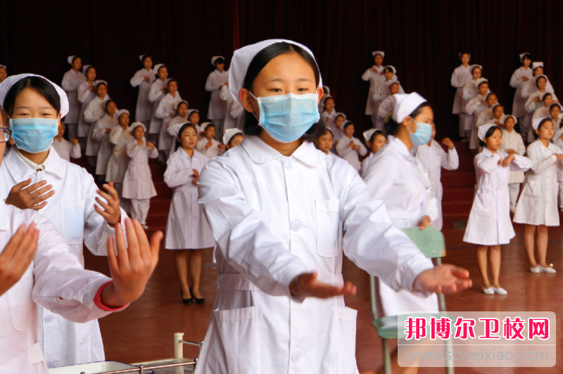 四川2023年護理學(xué)校有哪些專(zhuān)業(yè)適合女生