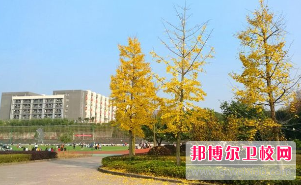 四川2023年有哪些護理學(xué)校就業(yè)好