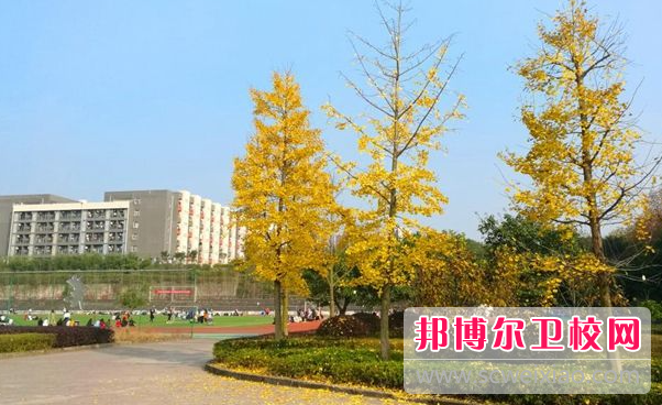 四川2023年護理學(xué)校畢業(yè)好不好找工作