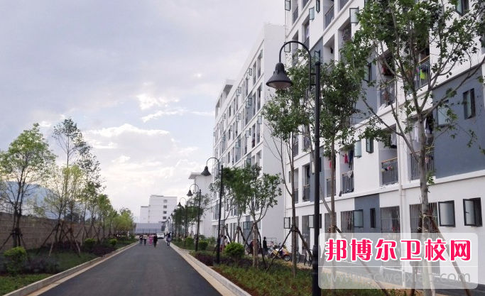 云南2023年哪些大專(zhuān)學(xué)校有護理學(xué)校