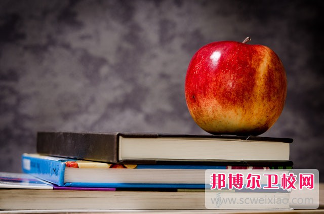 2023成都排名前二的助產(chǎn)護理學(xué)校名單