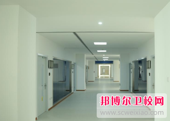 江蘇2024年護理學(xué)校有什么專(zhuān)業(yè)適合女生