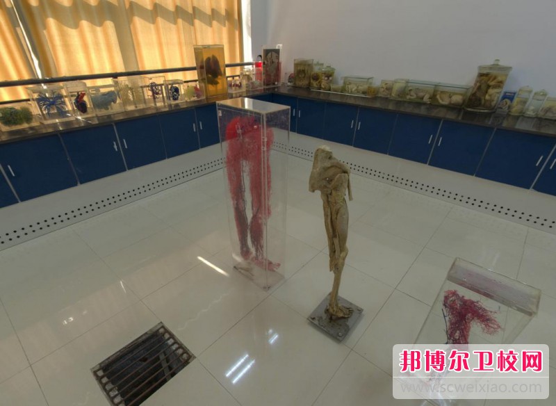 江蘇2024年適合女生的護理學(xué)校專(zhuān)業(yè)