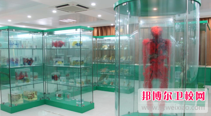 江蘇2024年護理學(xué)校什么學(xué)歷