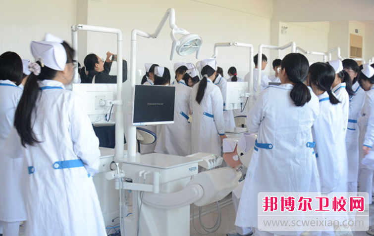 江蘇2024年護理學(xué)校畢業(yè)好不好找工作